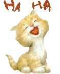 Gif animé rire chat